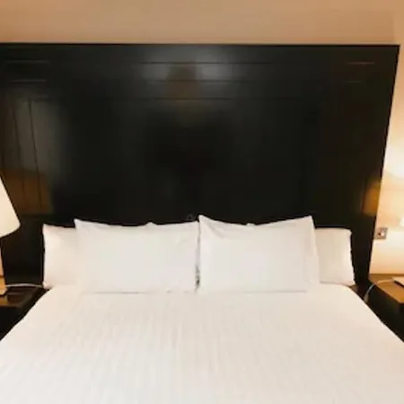 酒店 三叶草小屋酒店 3*